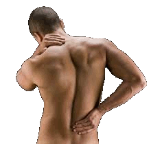 ZhangHealth/images/Back_Pain_1.gif